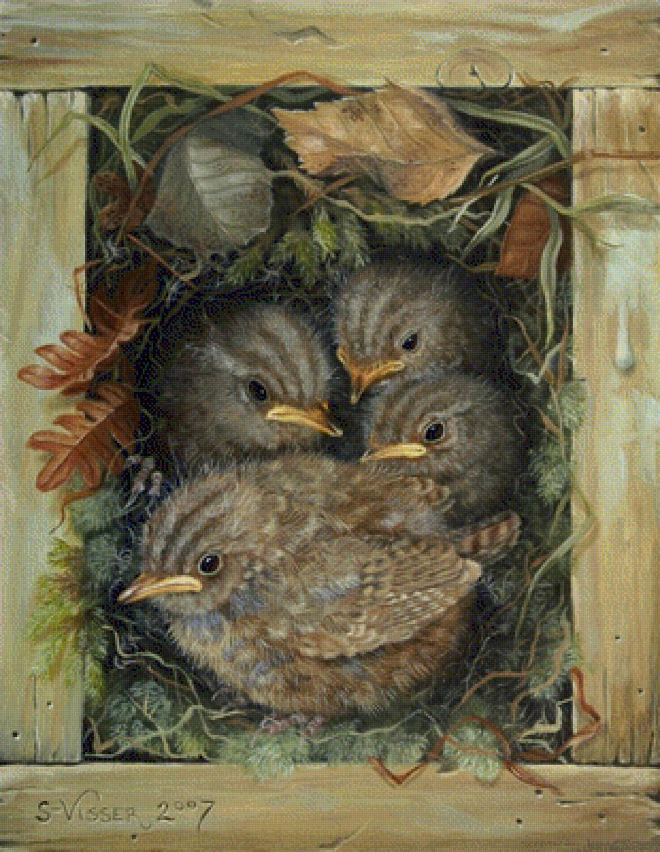 Pticy - предпросмотр