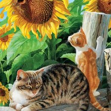 Схема вышивки «мамино солнышко»