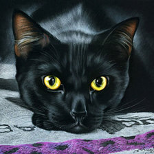 Схема вышивки «Кот»