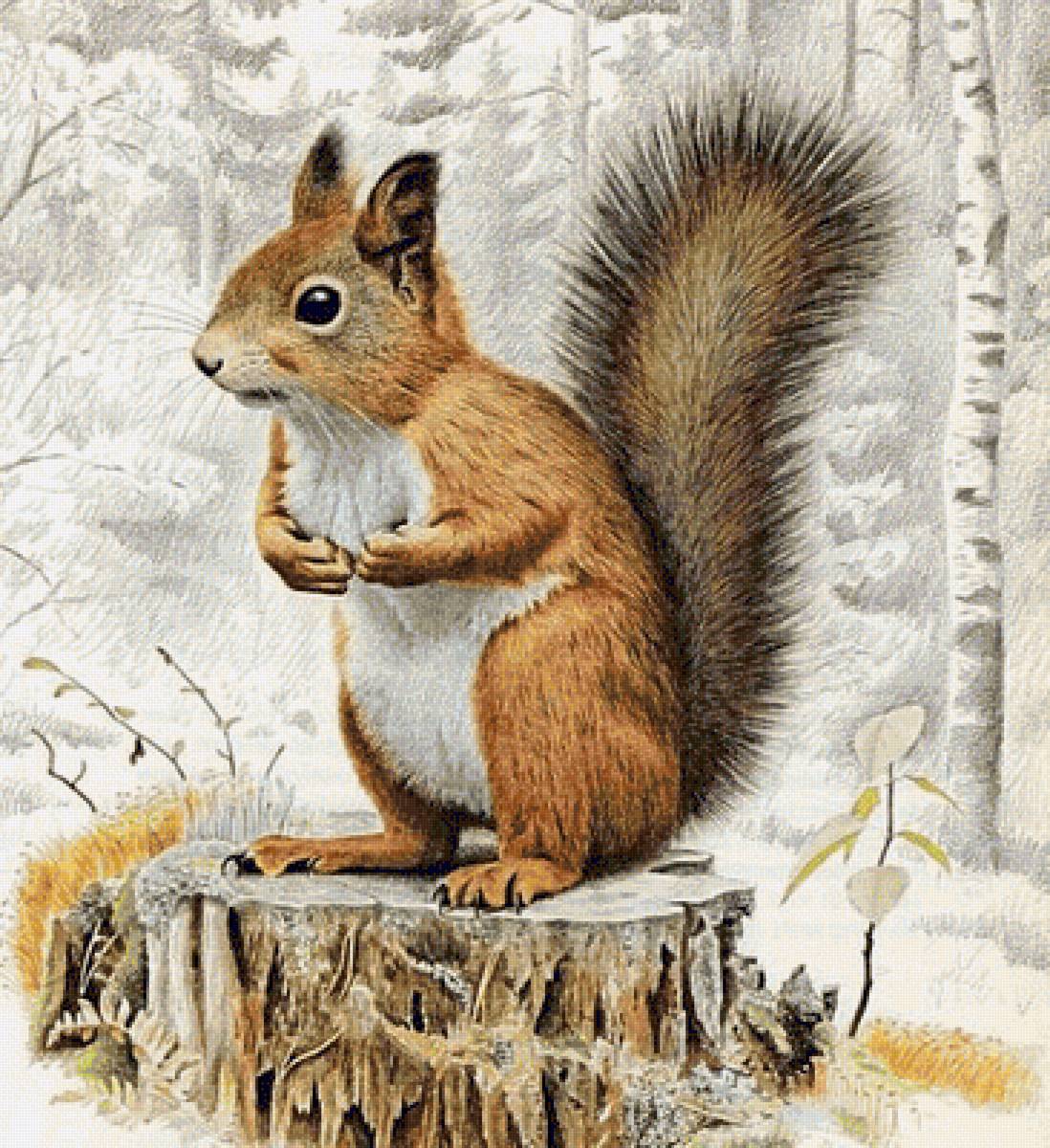 №1593282 - предпросмотр