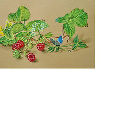 Схема вышивки «№1593306»