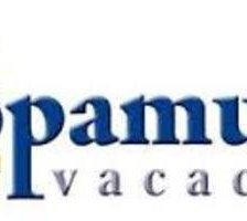 Схема вышивки «Naza»