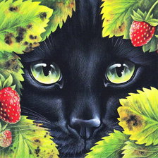 Схема вышивки «Кот»