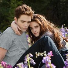 Схема вышивки «Сумерки»