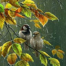 Схема вышивки «свидание»