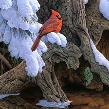 Схема вышивки «№1593813»