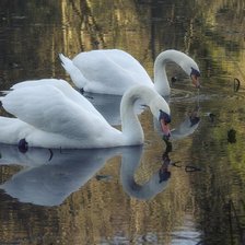 Схема вышивки «№1593831»