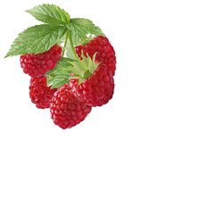 Схема вышивки «№1594012»