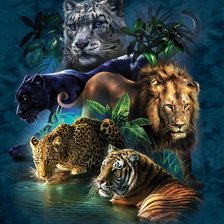 Схема вышивки «большие кошки»