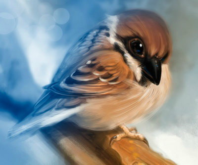 The bird - оригинал