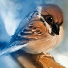 Схема вышивки «The bird»