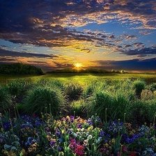 Схема вышивки «Природа»