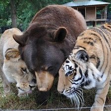 Схема вышивки «Друзья»