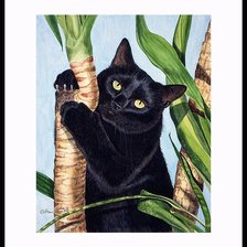 Схема вышивки «Кот»