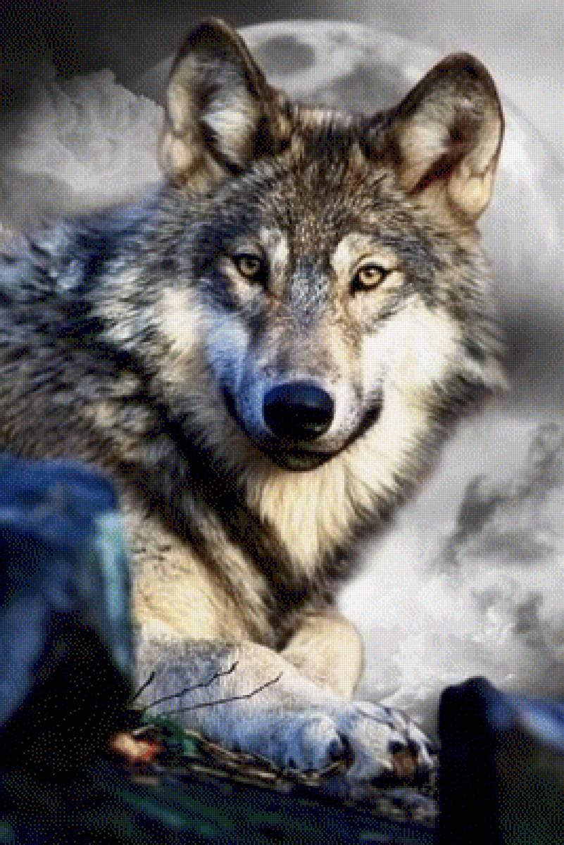 Lobo 1 - предпросмотр