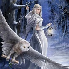 Схема вышивки «снежная нимфа»