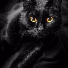 Схема вышивки «№1595694»