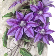 Схема вышивки «№1595859»