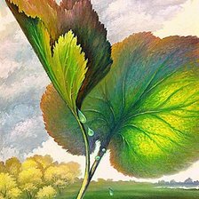 Схема вышивки «№1595877»