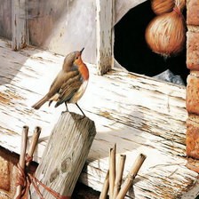 Схема вышивки «Птица»