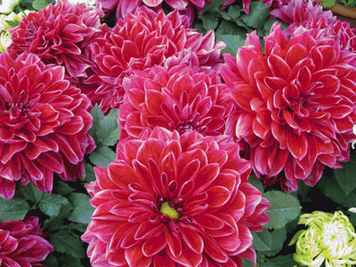 №1596167 - предпросмотр