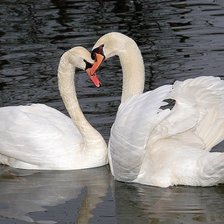 Схема вышивки «№1596169»