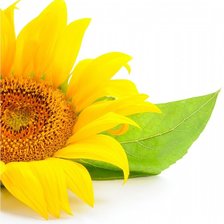 Схема вышивки «триптих 2 из 2»