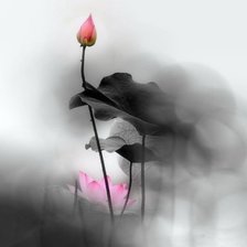 Схема вышивки «лилия»