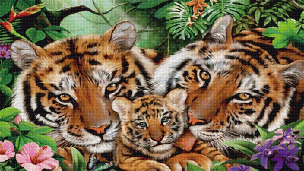 Тигры - животные, тигры - предпросмотр