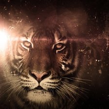 Схема вышивки «№1596706»