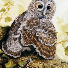 Схема вышивки «Сова»
