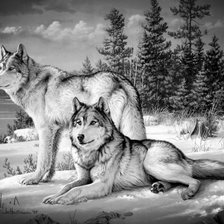 Схема вышивки «№1596892»