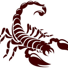 Схема вышивки «скорпион»