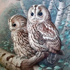 Схема вышивки «ночные стражи»