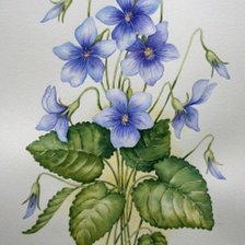 Схема вышивки «Цветы»