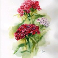 Схема вышивки «Цветы»