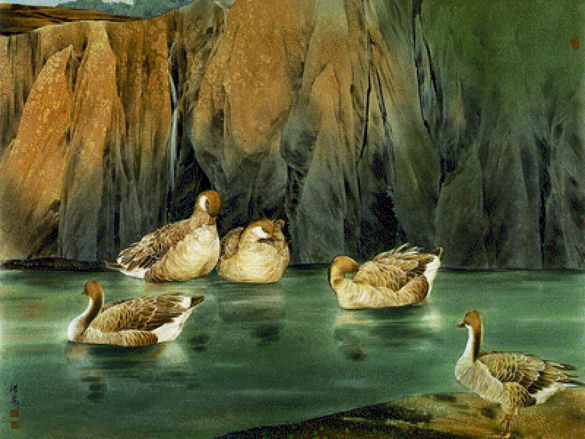 Pticy - предпросмотр