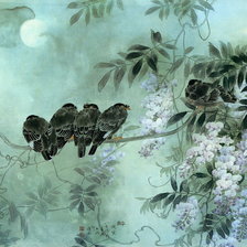 Схема вышивки «Pticy»