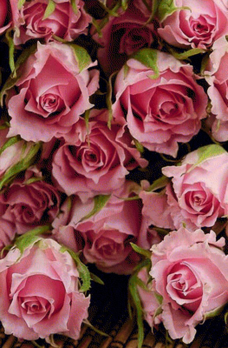 Cvety - предпросмотр