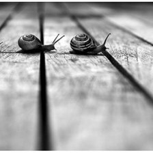 Схема вышивки «Caracóis»