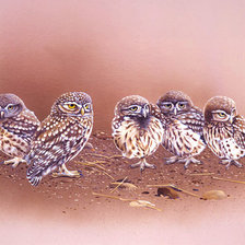 Схема вышивки «Совы»