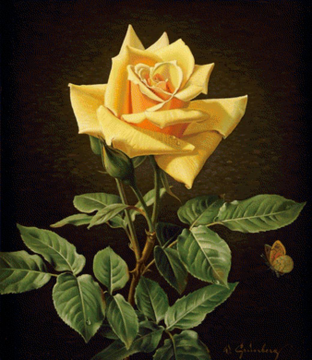 žltá ruža - предпросмотр