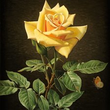 Схема вышивки «žltá ruža»