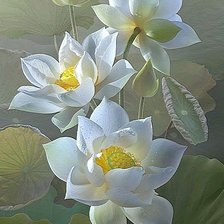 Схема вышивки «№1600588»