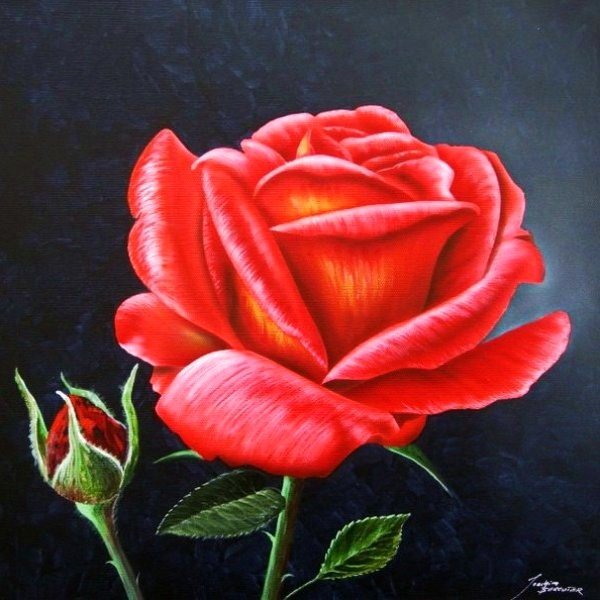 ruža - оригинал