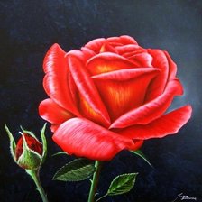 Схема вышивки «ruža»