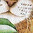 Предпросмотр схемы вышивки «Кот» (№1600798)