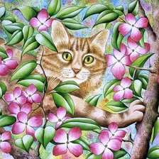 Схема вышивки «Кот»