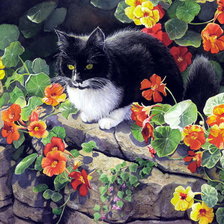 Схема вышивки «№1601143»