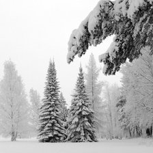 Схема вышивки «№1601239»